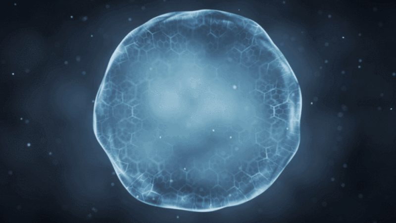 生物科技检测服务：揭秘行业领先企业**