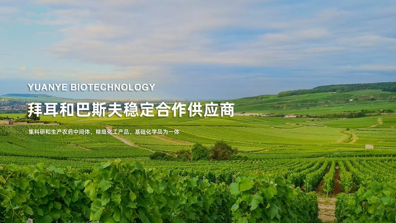 离心管选型：如何确保实验结果的准确性