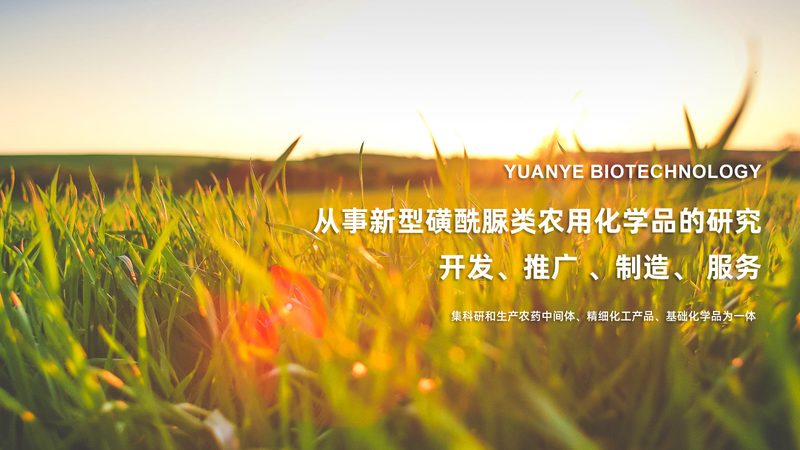 重组蛋白原液批发，如何选择可靠供应商？**