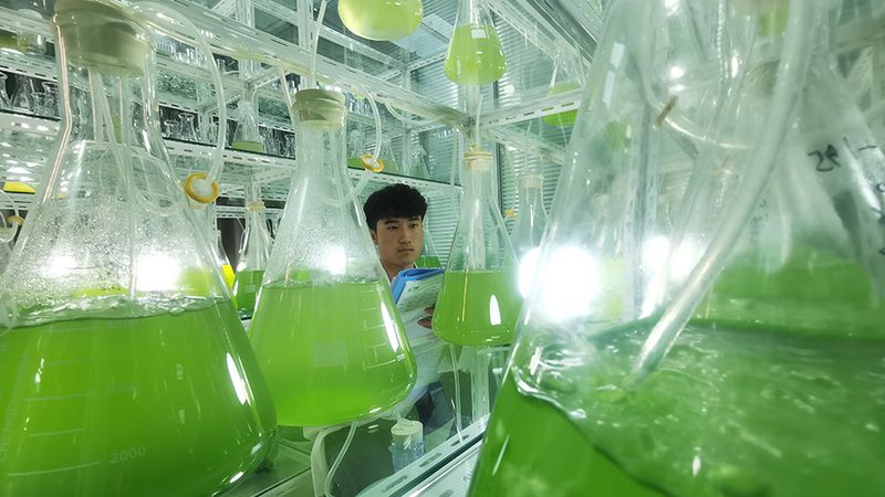 基因测序仪型号大揭秘：illumina家族如何选型**